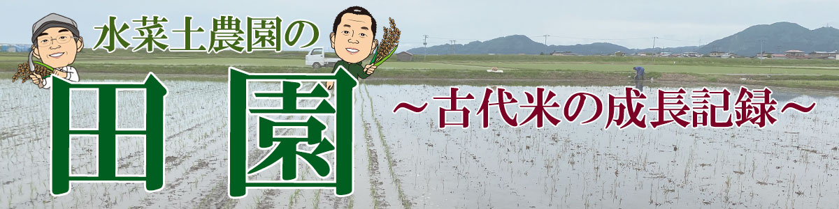 田園