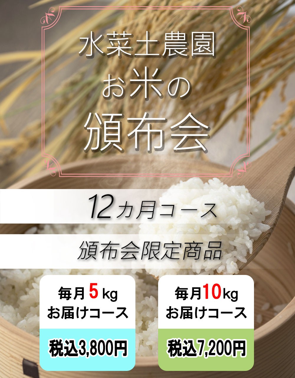 頒布会