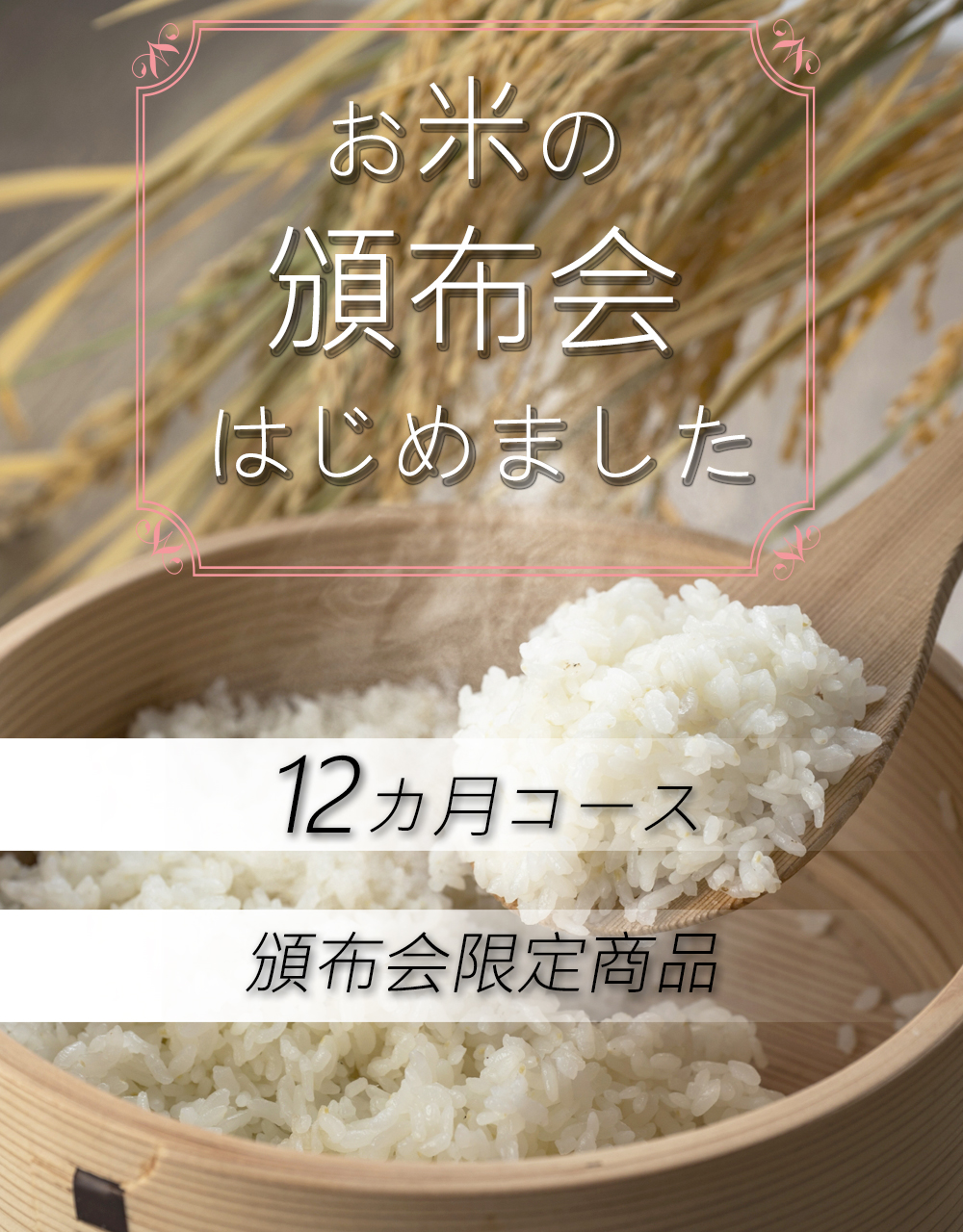 頒布会