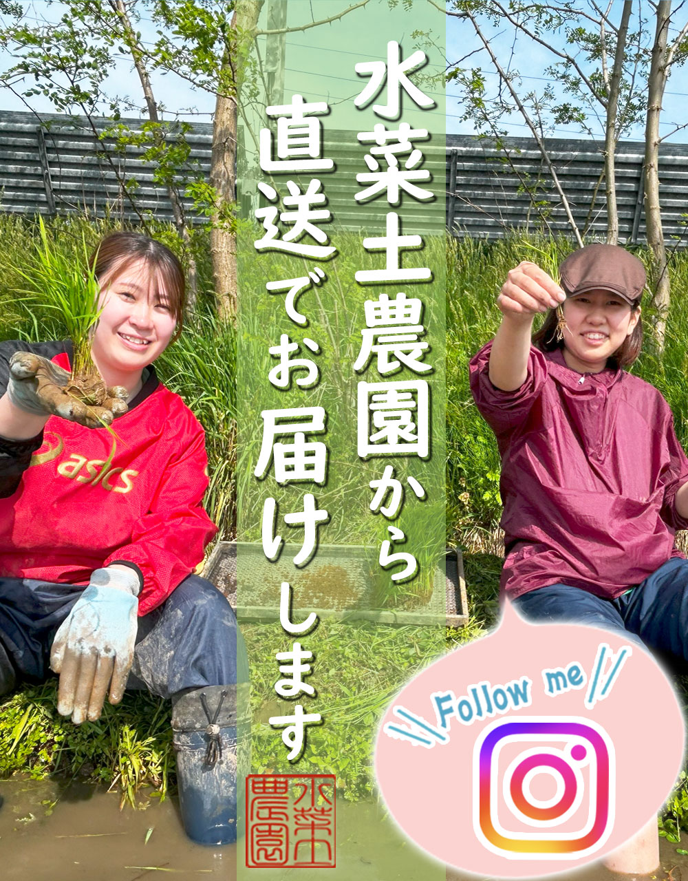 直送でお届け